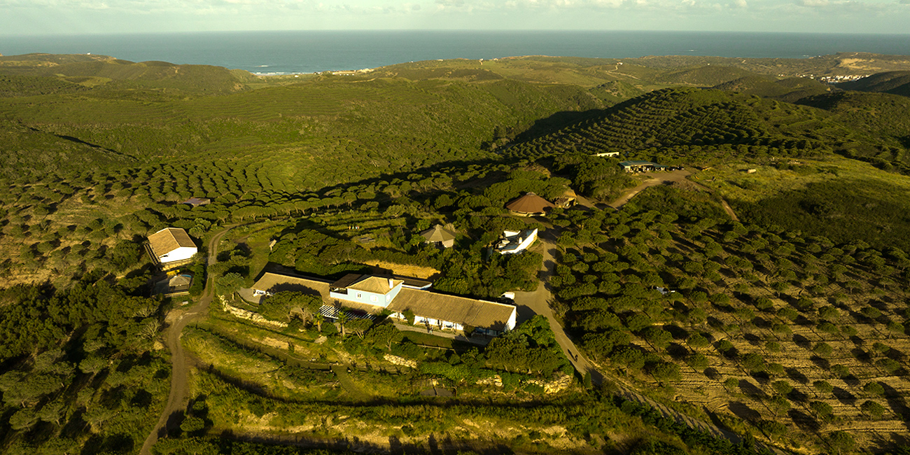 Aerial view of Monte Velho Eco Retreat above the Atlantic coast